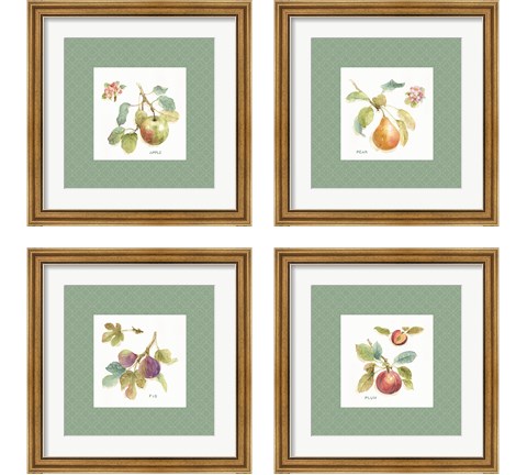 Orchard Bloom Border 4 Piece Framed Art Print Set by Lisa Audit