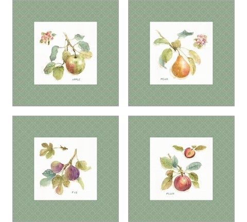 Orchard Bloom Border 4 Piece Art Print Set by Lisa Audit