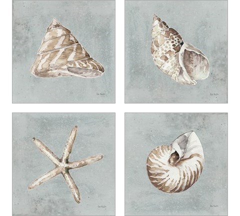 Sand and Seashells  4 Piece Art Print Set by Lisa Audit