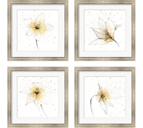 Gilded Graphite Floral 4 Piece Framed Art Print Set by Avery Tillmon