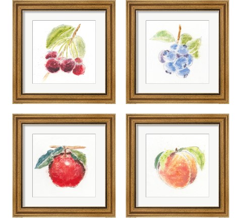 Garden Delight 4 Piece Framed Art Print Set by Emily Adams