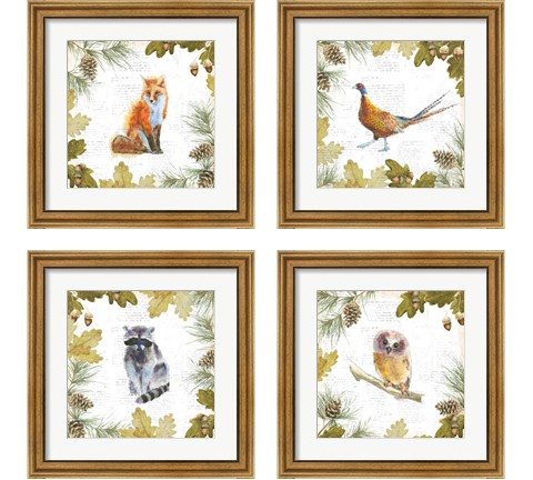 Into the Woods 4 Piece Framed Art Print Set by Emily Adams