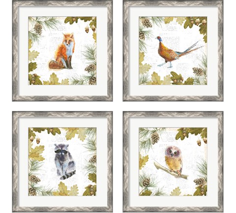 Into the Woods 4 Piece Framed Art Print Set by Emily Adams
