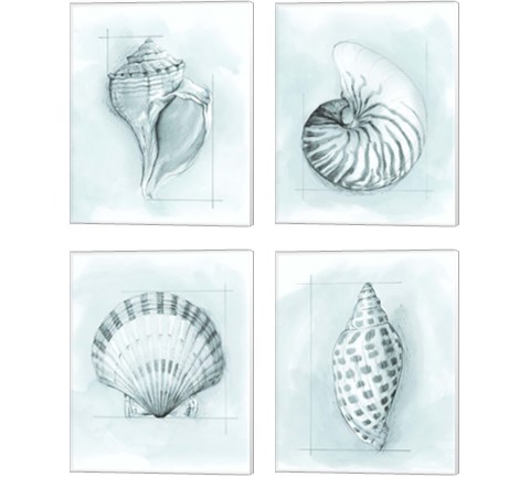 Coastal Shell Schematic 4 Piece Canvas Print Set by Megan Meagher