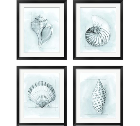 Coastal Shell Schematic 4 Piece Framed Art Print Set by Megan Meagher