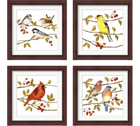Birds & Berries 4 Piece Framed Art Print Set by Jane Maday