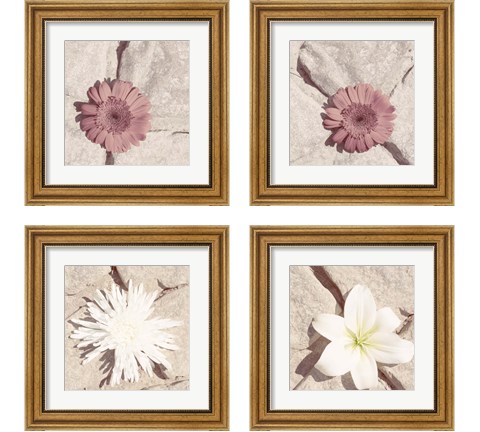 Stone Blossom 4 Piece Framed Art Print Set by Jason Johnson