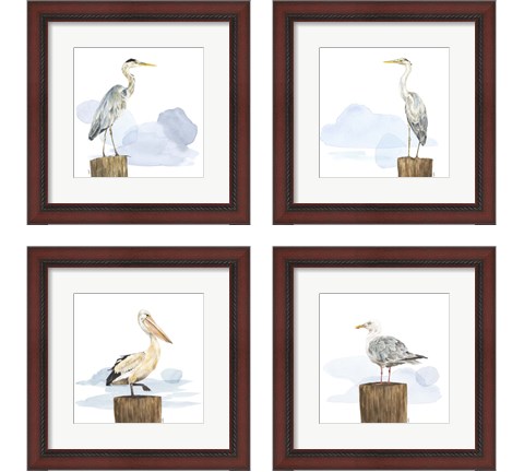 Birds of the Coast 4 Piece Framed Art Print Set by Tara Reed