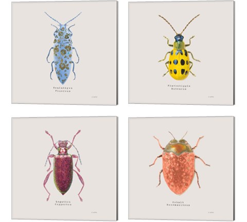 Adorning Coleoptera 4 Piece Canvas Print Set by James Wiens
