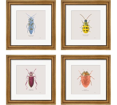 Adorning Coleoptera 4 Piece Framed Art Print Set by James Wiens