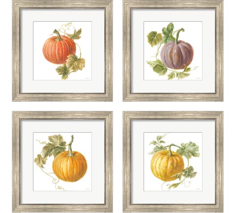 Floursack Autumn on White 4 Piece Framed Art Print Set by Danhui Nai