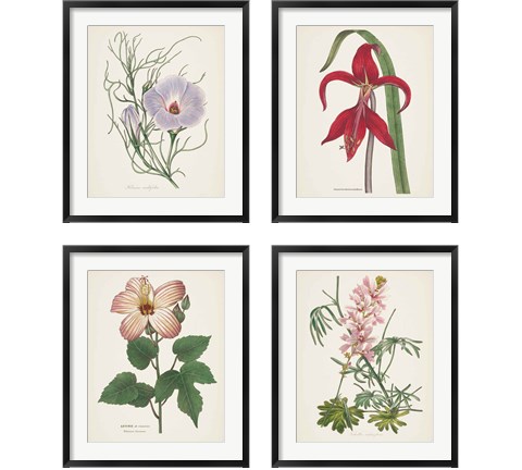 Antique BotanicalCream 4 Piece Framed Art Print Set by Wild Apple Portfolio