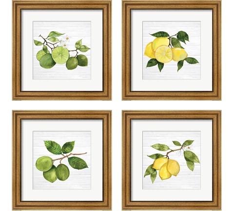 Citrus Garden Shiplap 4 Piece Framed Art Print Set by Kathleen Parr McKenna