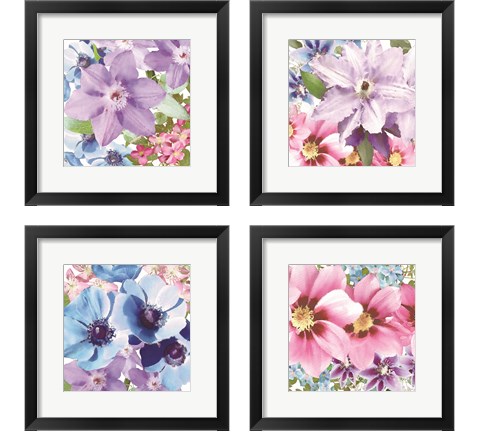 Clematis 4 Piece Framed Art Print Set by Bluebird Barn