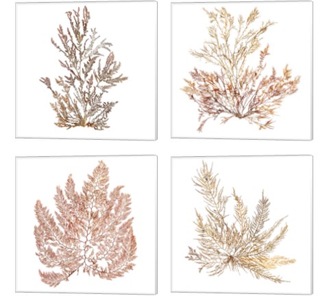Pacific Sea Mosses 4 Piece Canvas Print Set by Wild Apple Portfolio