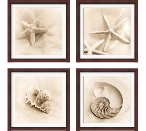 Il Oceano 4 Piece Framed Art Print Set by Alan Blaustein