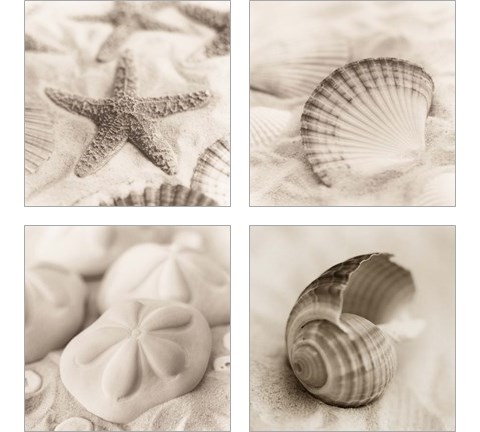 La Mer 4 Piece Art Print Set by Alan Blaustein