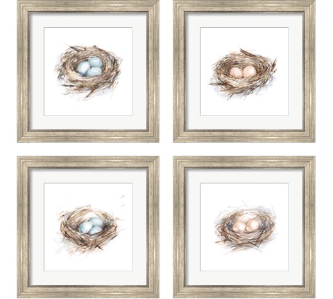 Bird Life 4 Piece Framed Art Print Set by Ethan Harper