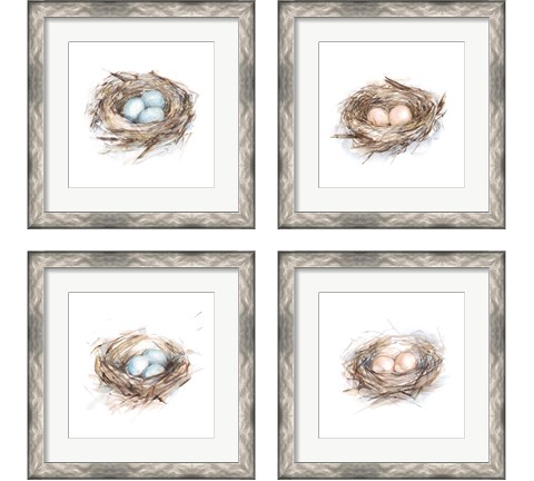 Bird Life 4 Piece Framed Art Print Set by Ethan Harper