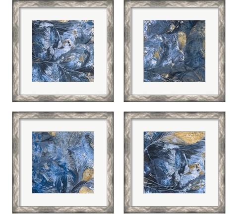 Gilded Indigo 4 Piece Framed Art Print Set by Jarman Fagalde