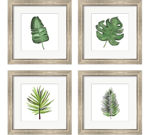 Leaves of the Tropics  4 Piece Framed Art Print Set by Hartworks