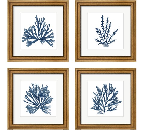 Pacific Sea Mosses Blue on White 4 Piece Framed Art Print Set by Wild Apple Portfolio