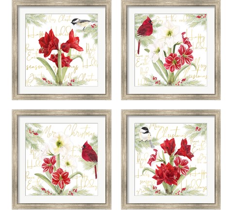 Merry Amaryllis 4 Piece Framed Art Print Set by Tara Reed