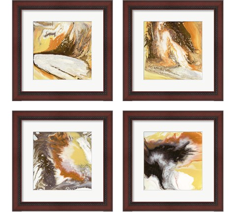 Liquid Earth 4 Piece Framed Art Print Set by Studio W