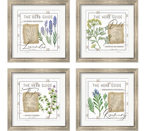 Herb Guide 4 Piece Framed Art Print Set by Jennifer Pugh