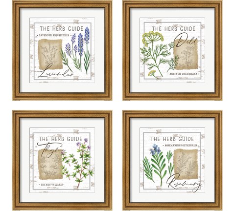 Herb Guide 4 Piece Framed Art Print Set by Jennifer Pugh