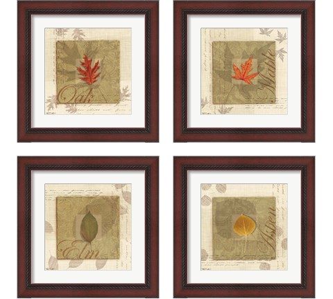 Leaf 4 Piece Framed Art Print Set by Tandi Venter