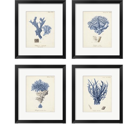 Antique Coral in Navy 4 Piece Framed Art Print Set by Johann Esper