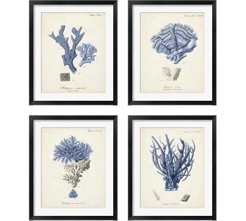 Antique Coral in Navy 4 Piece Framed Art Print Set by Johann Esper