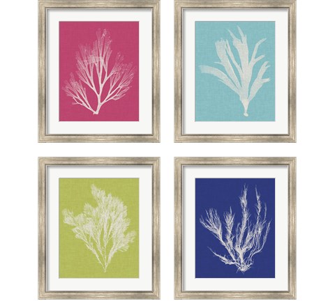 Seaweed Pop 4 Piece Framed Art Print Set by Vision Studio