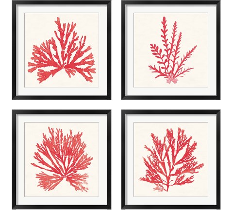 Pacific Sea Mosses Red 4 Piece Framed Art Print Set by Wild Apple Portfolio