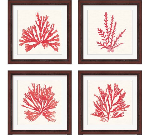 Pacific Sea Mosses Red 4 Piece Framed Art Print Set by Wild Apple Portfolio