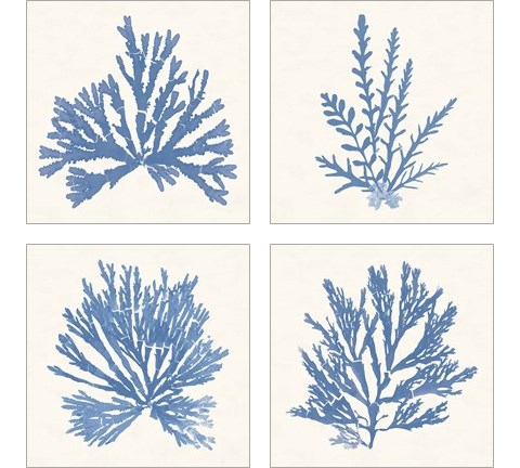 Pacific Sea Mosses Light Blue 4 Piece Art Print Set by Wild Apple Portfolio