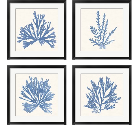 Pacific Sea Mosses Light Blue 4 Piece Framed Art Print Set by Wild Apple Portfolio