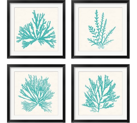 Pacific Sea Mosses Aqua 4 Piece Framed Art Print Set by Wild Apple Portfolio