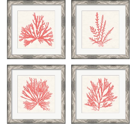 Pacific Sea Mosses Coral 4 Piece Framed Art Print Set by Wild Apple Portfolio