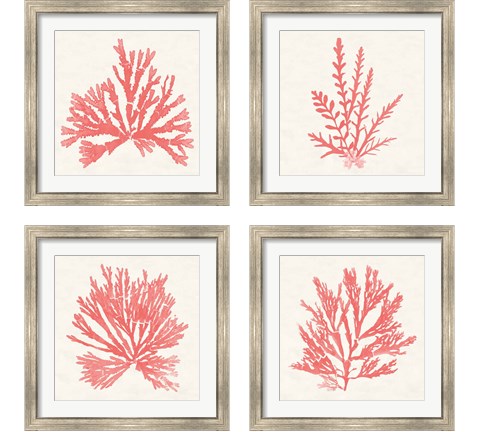 Pacific Sea Mosses Coral 4 Piece Framed Art Print Set by Wild Apple Portfolio