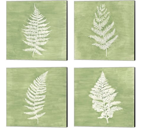 Forest Ferns 4 Piece Canvas Print Set by Vanna Lam