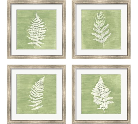 Forest Ferns 4 Piece Framed Art Print Set by Vanna Lam