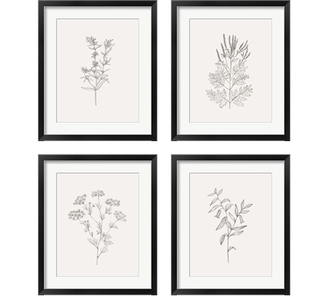 Wild Foliage Sketch 4 Piece Framed Art Print Set by Victoria Borges