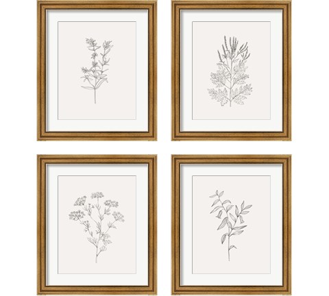 Wild Foliage Sketch 4 Piece Framed Art Print Set by Victoria Borges