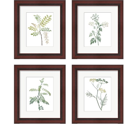 Soft Green Botanical 4 Piece Framed Art Print Set by Vision Studio