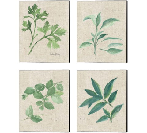 Herbs on Burlap 4 Piece Canvas Print Set by Chris Paschke