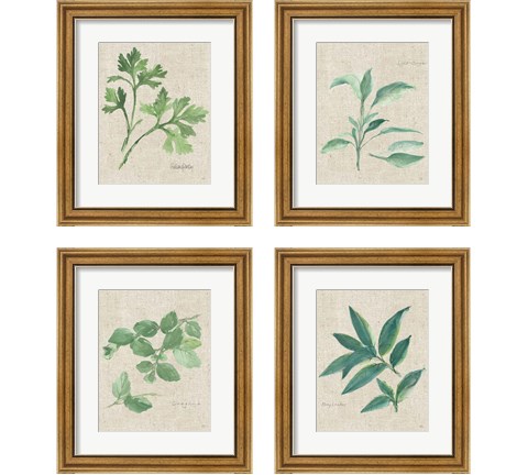 Herbs on Burlap 4 Piece Framed Art Print Set by Chris Paschke