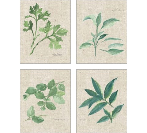 Herbs on Burlap 4 Piece Art Print Set by Chris Paschke