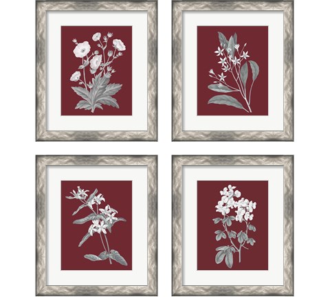 Pomegranate Botanical 4 Piece Framed Art Print Set by Wild Apple Portfolio